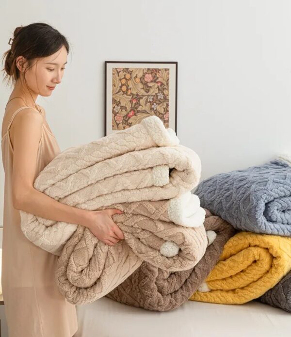 Autumn Winter Warm Blanket for Double Bed Thick Plush Soft Sofa Throw Blankets Comfortable Solid Color Coral Fleece Fabric Quilt - Image 2