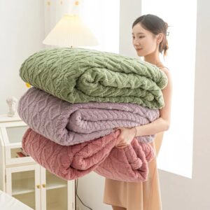 Autumn Winter Warm Blanket for Double Bed Thick Plush Soft Sofa Throw Blankets Comfortable Solid Color Coral Fleece Fabric Quilt
