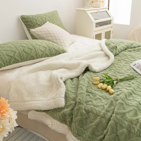 Autumn Winter Warm Blanket for Double Bed Thick Plush Soft Sofa Throw Blankets Comfortable Solid Color Coral Fleece Fabric Quilt - Image 5