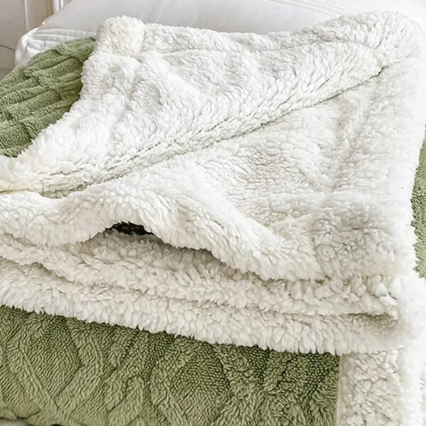 Autumn Winter Warm Blanket for Double Bed Thick Plush Soft Sofa Throw Blankets Comfortable Solid Color Coral Fleece Fabric Quilt - Image 6