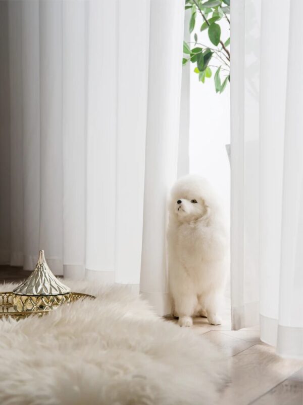 S Fold Waves Elegant Super Soft Snow Pure White Window Tulle Curtains for Living Room Chiffon Sheer Voile Bedroom Veil Kitchen - Image 3